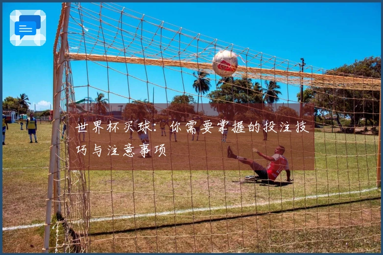 世界杯买球：你需要掌握的投注技巧与注意事项